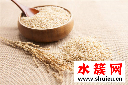 缺鋅補鋅的食物都有哪些 十大補鋅食物排行榜 缺鋅補鋅的食物都有哪些