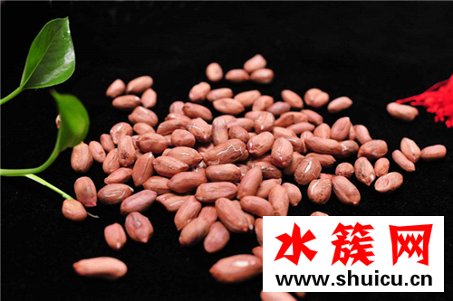 缺鋅補鋅的食物都有哪些 十大補鋅食物排行榜 缺鋅補鋅的食物都有哪些