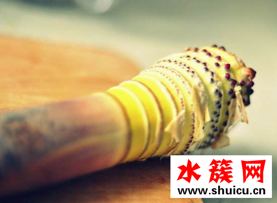 孕婦可以吃春筍嗎 懷孕初期能吃春筍嗎 春筍什么人不能吃