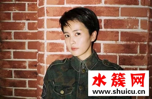 烈火軍校白鹿發(fā)型