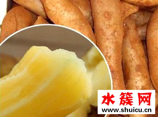 雪蓮果是地瓜嗎