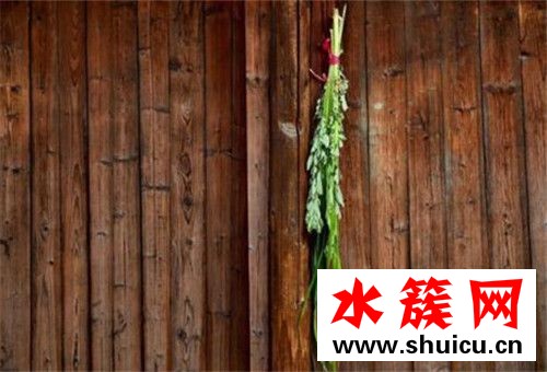 端午節門前為什么要掛艾草 端午節門前掛艾草有什么講究 端午節門前為什么要掛艾草