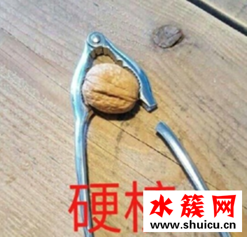 最火網絡用語2019