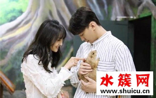 張恒鄭爽疑似分手什么情況?終于真相了,原來竟是這樣! 張恒鄭爽疑似分手