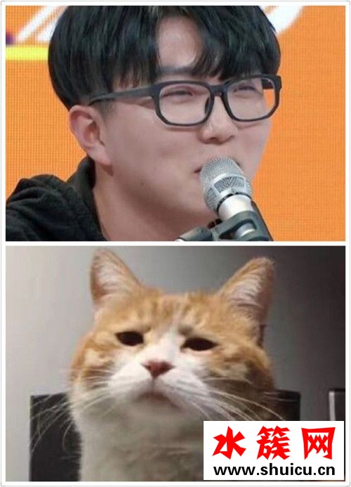 毛不易為什么火