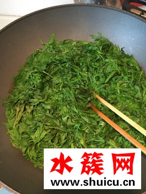 艾草什么時候采摘最好？