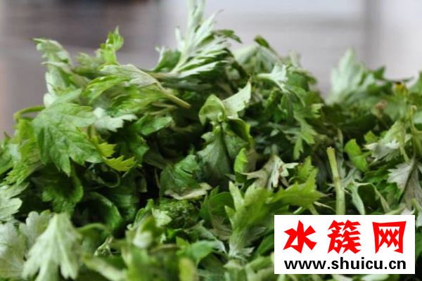 艾草什么時候采摘最好？