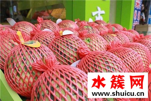 麒麟瓜好吃嗎 麒麟瓜多少錢一斤2018 麒麟瓜好吃嗎