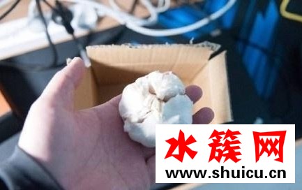 1蔥1蒜代表什么