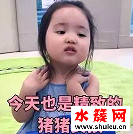 網絡詞豬精女孩是什么意思 豬精女孩是罵人的嗎 網絡詞豬精女孩是什么意思